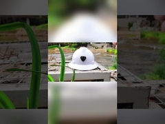 Casco de seguridad antichoque de la cabeza del trabajo EN397 6 puntos de la suspensión para Electric Power